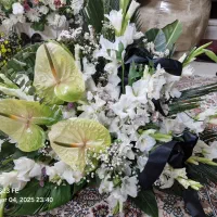 سبد گل|گل و گیاه طبیعی|مشهد, نیروی هوایی|دیوار