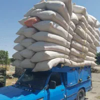 خرید فروش کاه و یونجه