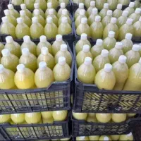 فروش بهترین آبلیموی طبیعی در تهران