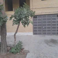 منحی ۸۰ بلوار امام علی  ویلاشهر