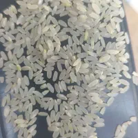 برنج وخرده و حبوبات