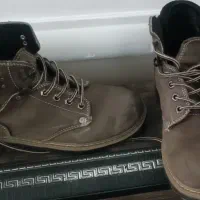 کفش|کیف، کفش، کمربند|دوگنبدان, |دیوار