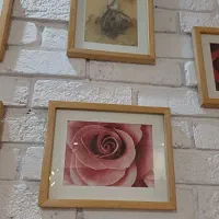 مجموعه ۱۰ عددی قاب عکس های چوبی ایکیا اصل|تابلو، نقاشی، عکس|تهران, طرشت|دیوار