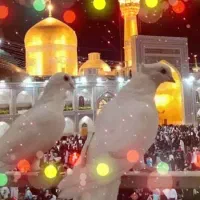 تور زیارتی و سیاحتی