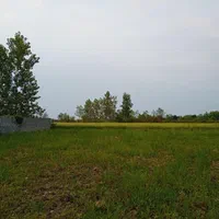 زمین ساحلی مسکونی ۲۵۰ متری ۳ کیلومتری دریا|فروش زمین و ملک کلنگی|بندر انزلی, لیچارگی حسن رود|دیوار