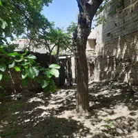 فروش ۱۴۵ متری  باغ در کن|فروش دفتر صنعتی، کشاورزی، تجاری|تهران, کن|دیوار