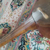 کمانچه میلاد در حد نو|سازهای سنتی|کوهدشت, |دیوار