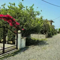 مطمن باش داخل این شهرک بری برنمیگردی