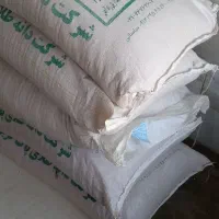 گندم ابی پیشگام ۲۵۰ کیلو|گل و گیاه طبیعی|اسدآباد, |دیوار