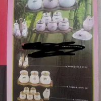 سرویس کامل پاسماری نو