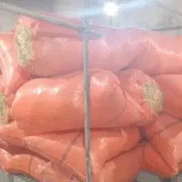 غذای گاو