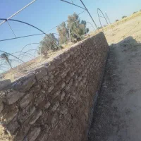 بنا هم کار هستم