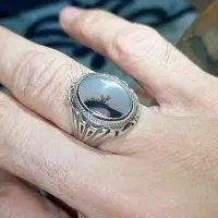 شجر ناب قائنات