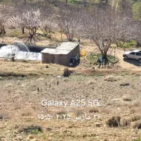 ۱۰۰۰۰متر باغ مثمر سردسیری(مجهز)|فروش دفتر صنعتی، کشاورزی، تجاری|پادنا, |دیوار