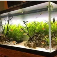 یک اکواریوم بزرگ یک در بیست