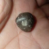 سنگ خاص آسمانی|جواهرات|رشت, فلسطین|دیوار