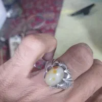 باباقوری3چشم