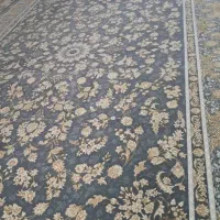 فرش جهیزیه کاور شده پا نخورده ۱۲۰۰شانه|فرش|بروجرد, |دیوار