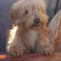 واگذاری یامعاوضه