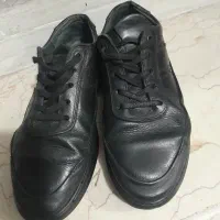 کفش مردانه|کیف، کفش، کمربند|اردبیل, |دیوار