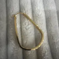 گوشوار گمشده