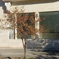 اجاره مغازه ۶۰ متری پامچال|اجارهٔ مغازه و غرفه|بیرجند, |دیوار