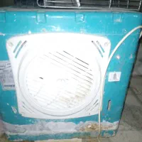 کولرابی رومیزی یک وپانصد