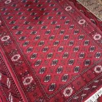 فرش|فرش|گنبد کاووس, |دیوار