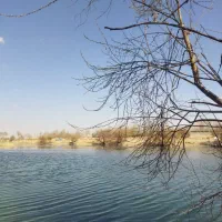 فروش-زمین-باغی-اجگرد