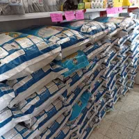 پخش شوینده وحید