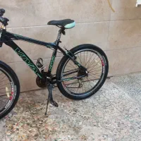 ویوا اصلی26/5