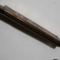 ساز دهنی خوش صدا|سازهای بادی|کرج, شهرک بنفشه|دیوار