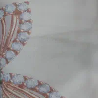 پرده هازان چاپی