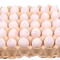 تخم مرغ مارکدار تاریخ روز