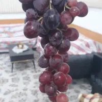 انگور خوشمزه و ارگانیک