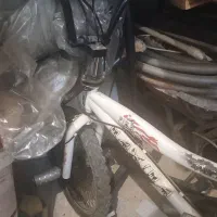 دو چرخه حرفه ای ماکسیما ژاپن