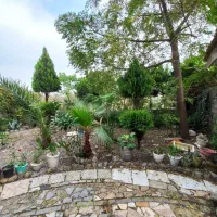 فروش ویلایی۴۵۰ متری سندتک برگ جای بکر و خاص|فروش خانه و ویلا|رشت, حومه رشت|دیوار