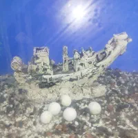 آکواریوم شیشه 10میل خارجی|ماهی|قرچک, فردیس|دیوار