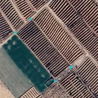 فروش باغ انگور