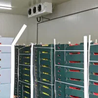 فروشش و اجرایی ۶۶۶۶سردخانه۶۶۶با پانل۱۰سانتی|ماشین‌آلات صنعتی|کرمانشاه, |دیوار