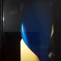 میت راکتی تکواندو