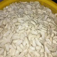 باقالی کشاورزی