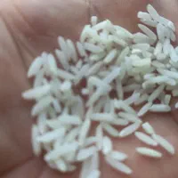 برنج درجه یک گیلانی|خوردنی و آشامیدنی|حویق, |دیوار