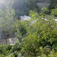 باغ ویلا بازسازی شیک درابرده شاندیز(معاوضه باماشین