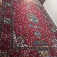 یک عدد فرش قدیمی فروش فوری|فرش|پیشوا, |دیوار