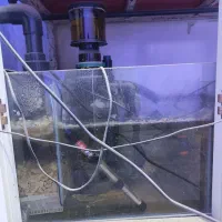 اکواریوم اب شور در حال کار کاملا سالم همراه ماهی|ماهی|تهران, صاحب الزمان|دیوار