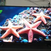 تلویزیون ۴۳ اینچ ال ای دی