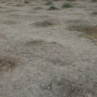 زمین 330متری قلعه چنعان