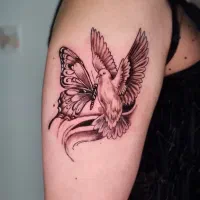 اجرا و آموزش تخصصی تتو بدن در صدرا|خدمات آموزشی|صدرا-فارس, فاز ۱|دیوار