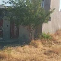 خانه ویلایی جهت اجاره،خانم آباد